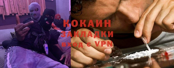 ПСИЛОЦИБИНОВЫЕ ГРИБЫ Гусев