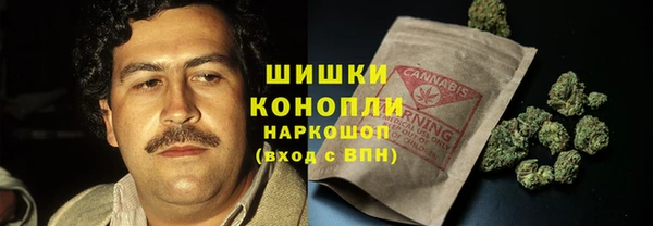 соль ск Гусь-Хрустальный