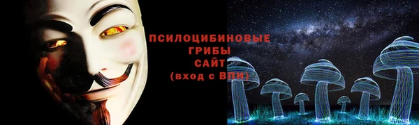 соль ск Гусь-Хрустальный