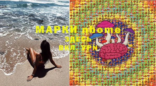 ПСИЛОЦИБИНОВЫЕ ГРИБЫ Гусев