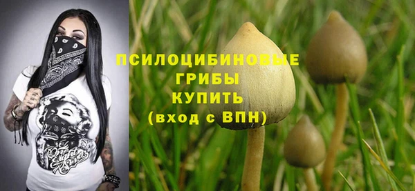 бутират Гусиноозёрск