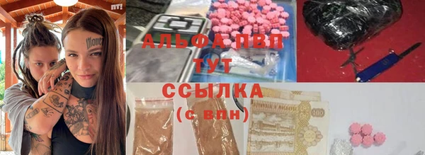 ПСИЛОЦИБИНОВЫЕ ГРИБЫ Гусев