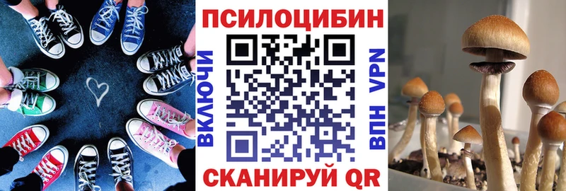 Галлюциногенные грибы GOLDEN TEACHER Приморск